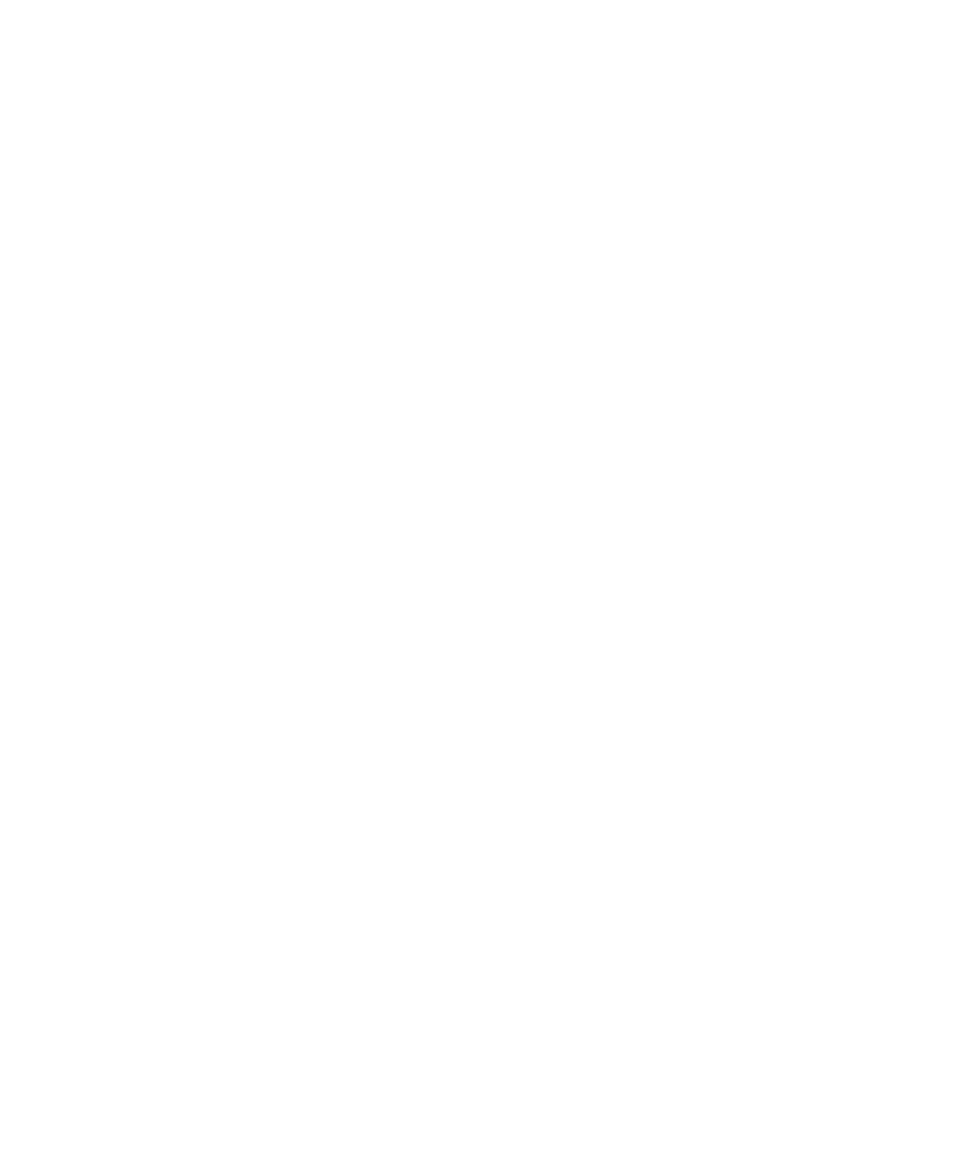 Scion Solution Footer Logo
